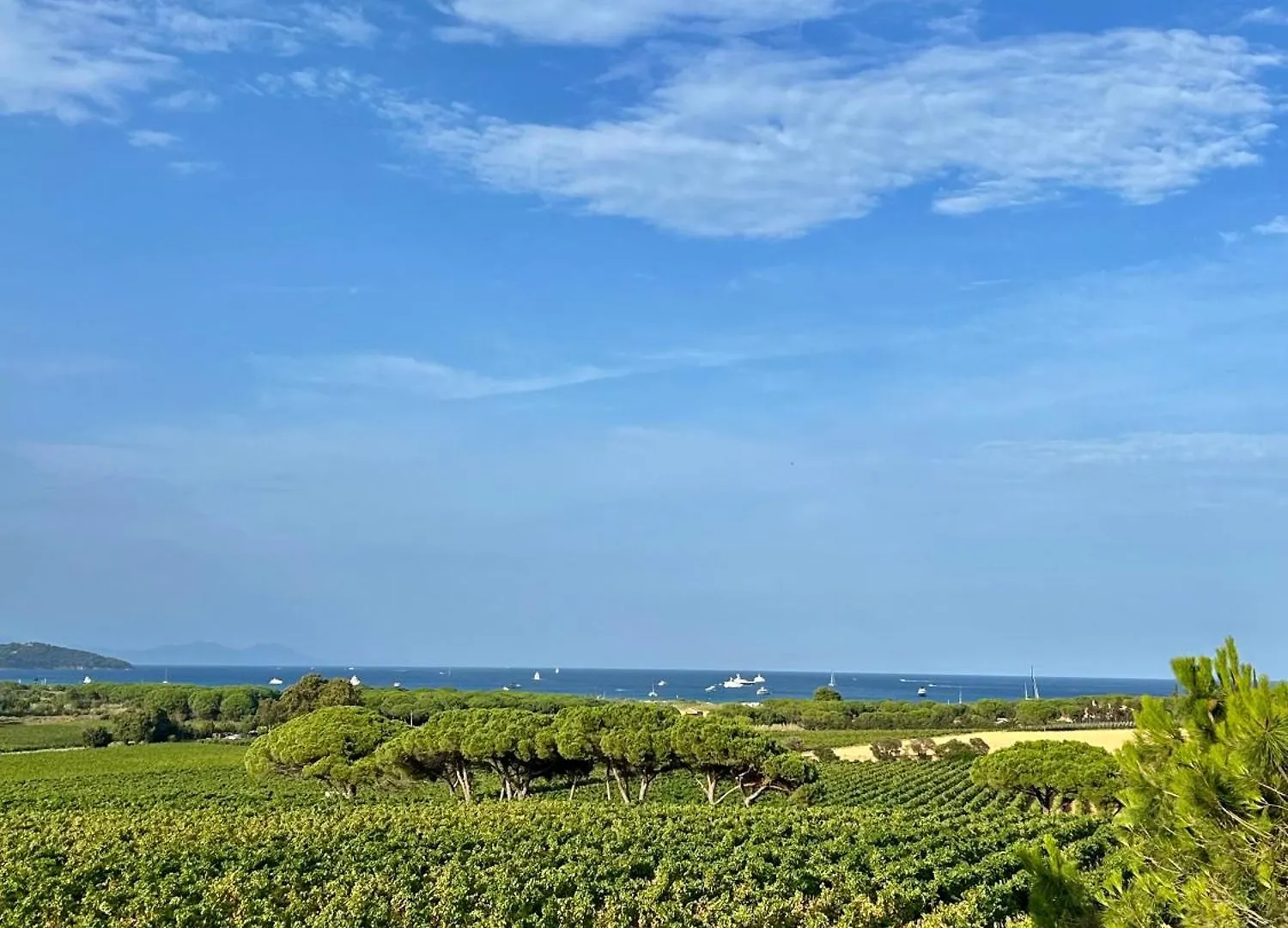 Villa Alfaline 포트 그리모